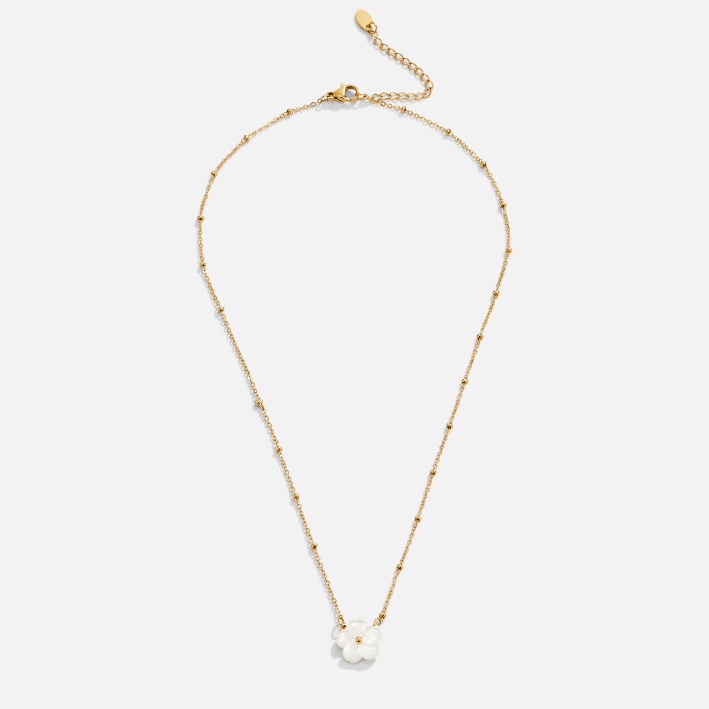 Grootheid Bloesem Bloem Ketting