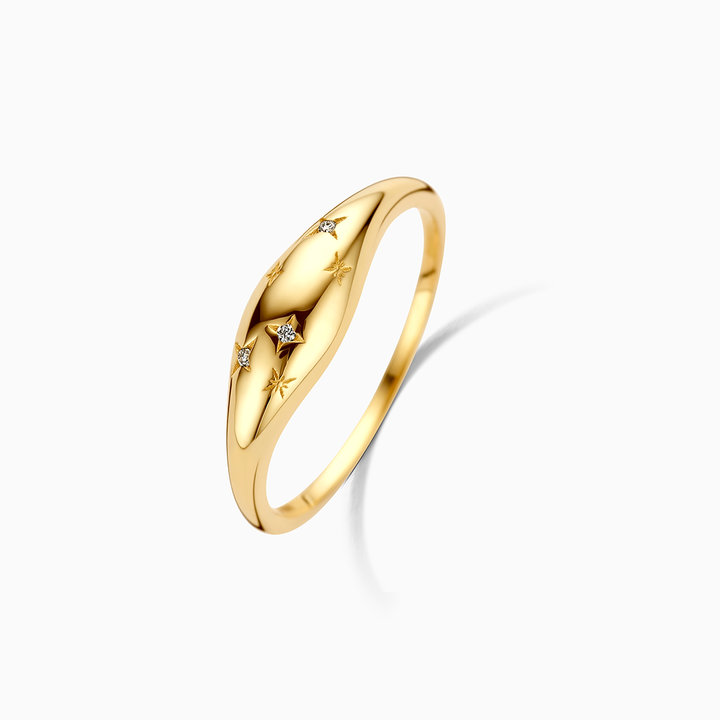 Diamanten Kooy Dome Ring | Goud