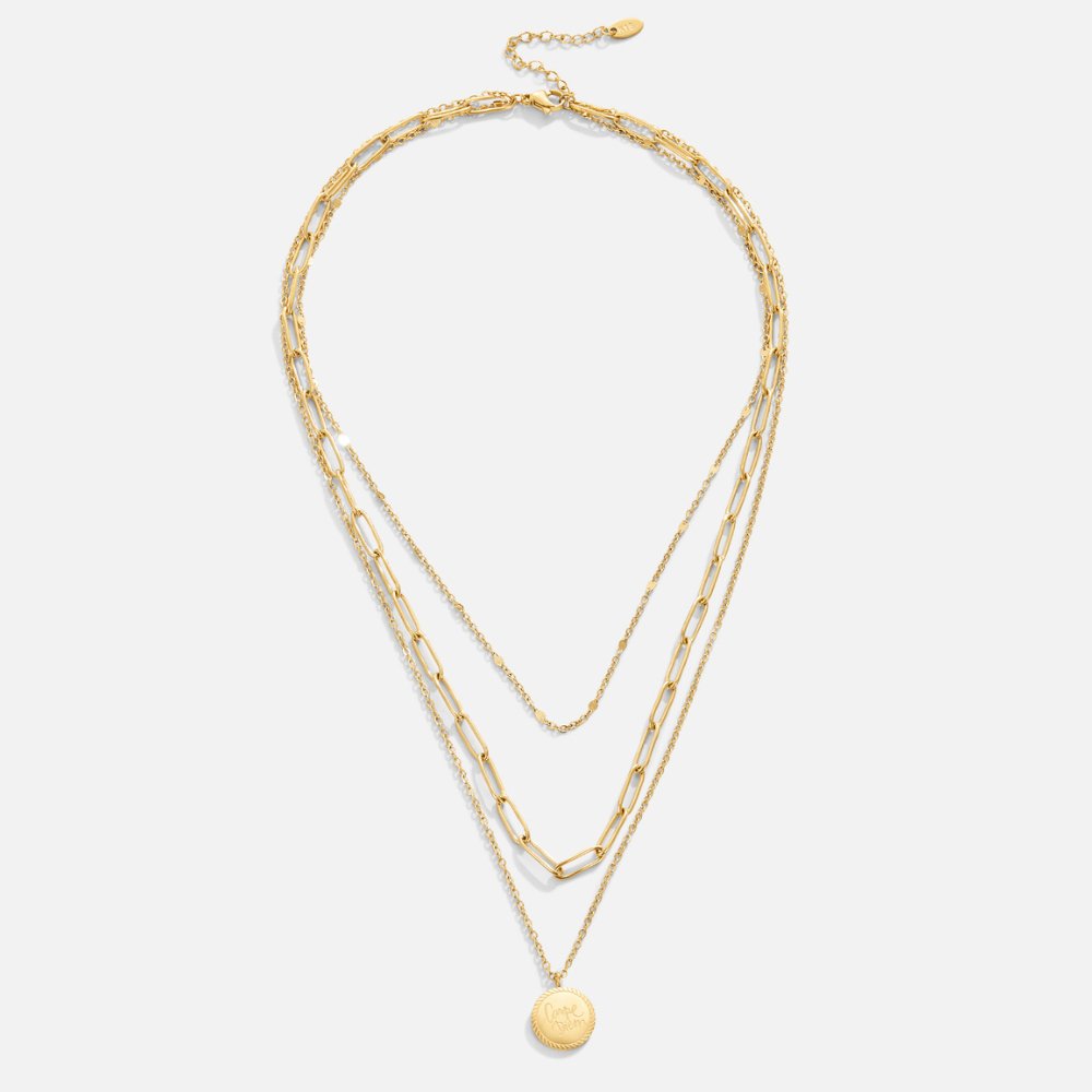 Janie Coin Gelaagde Ketting